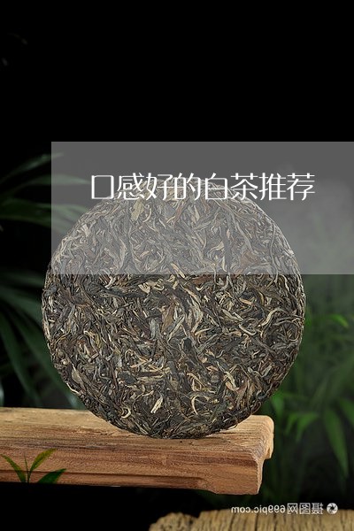 口感好的白茶推荐/2023111582846