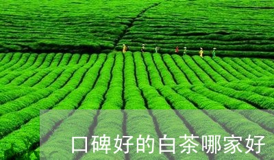 口碑好的白茶哪家好/2023071652693