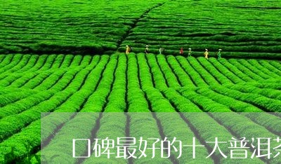 口碑最好的十大普洱茶价格/2023082521826