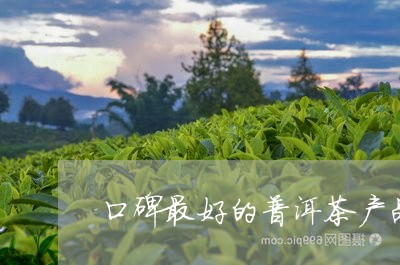 口碑最好的普洱茶产品/2023080223839