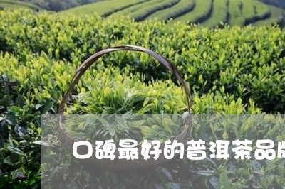 口碑最好的普洱茶品牌排行榜/2023052937170