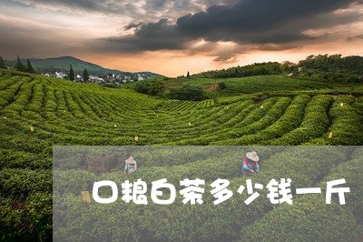 口粮白茶多少钱一斤/2023121705938