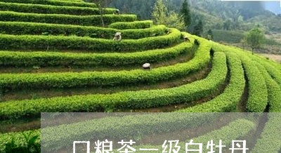 口粮茶一级白牡丹/2023090684036