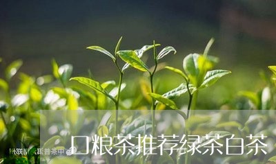 口粮茶推荐绿茶白茶/2023121751494