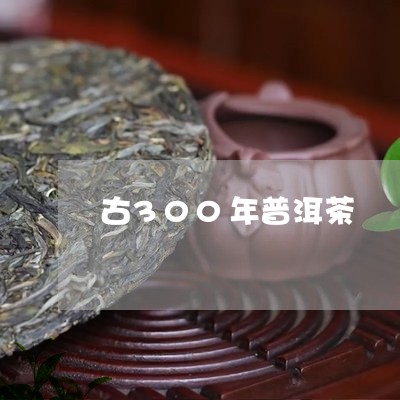 古300年普洱茶/2023101672806