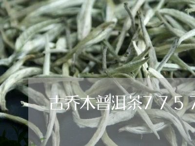 古乔木普洱茶7757/2023062853825