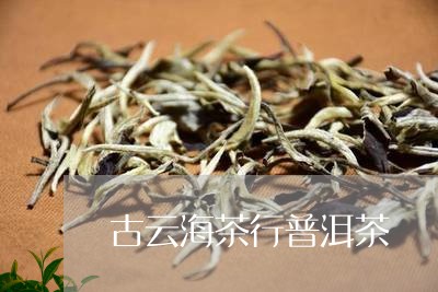 古云海茶行普洱茶/2023070904716