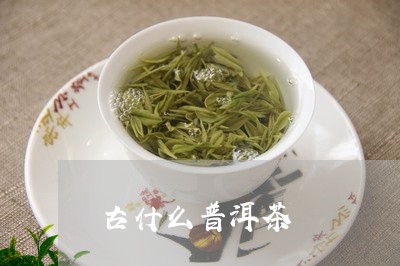 古什么普洱茶/2023042762602