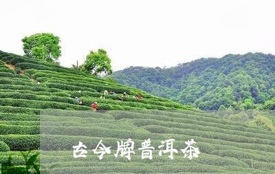 古今牌普洱茶/2023042777845