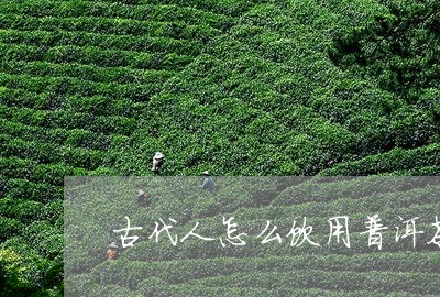 古代人怎么饮用普洱茶/2023062201837