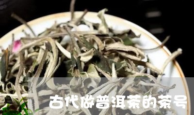 古代做普洱茶的茶号/2023101678573