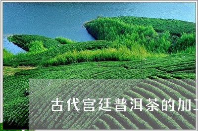 古代宫廷普洱茶的加工/2023080165948