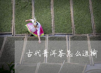 古代普洱茶怎么运输/2023091453939