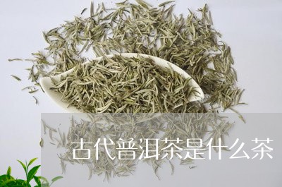 古代普洱茶是什么茶/2023091426025