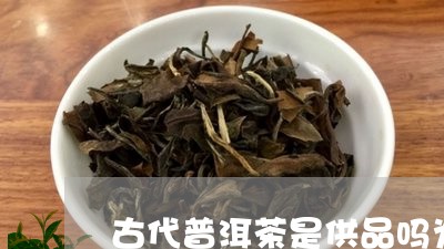 古代普洱茶是供品吗为什么/2023082934270