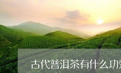 古代普洱茶有什么功效/2023062971825