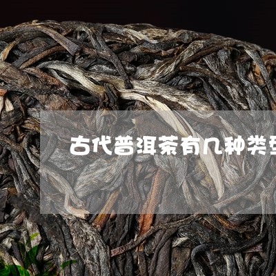 古代普洱茶有几种类型的茶/2023112447463