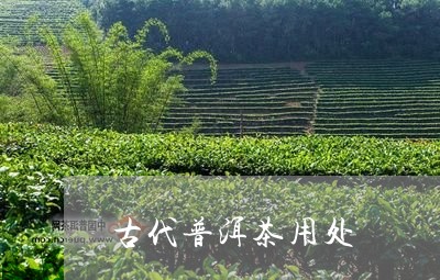 古代普洱茶用处/2023112676050