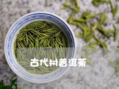 古代树普洱茶/2023042846257