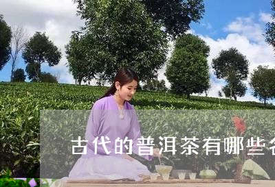 古代的普洱茶有哪些名称/2023110193048