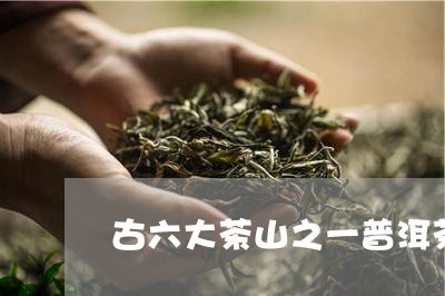 古六大茶山之一普洱茶/2023120640705