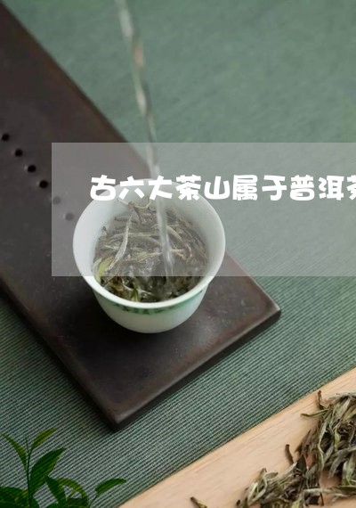 古六大茶山属于普洱茶吗/2023081773959