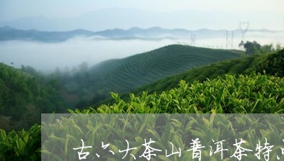 古六大茶山普洱茶特点是/2023121506168