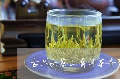 古六大茶山普洱茶齐聚/2023062152773