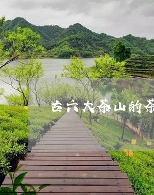 古六大茶山的茶叶特点/2023061079482