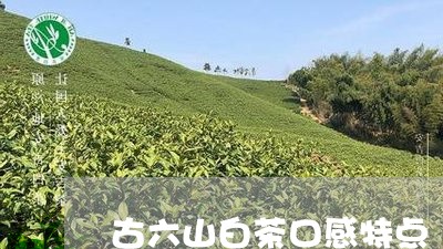 古六山白茶口感特点/2023121759502