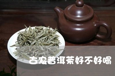 古农普洱茶好不好喝/2023082904736