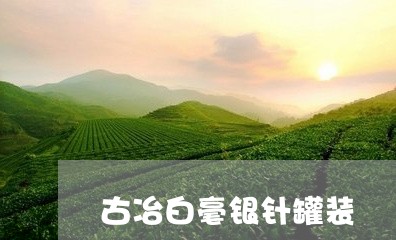 古冶白毫银针罐装/2023061577452