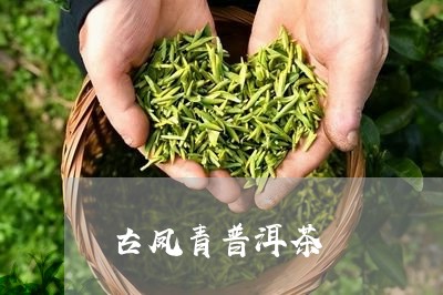 古凤青普洱茶/2023042806711