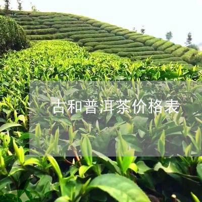 古和普洱茶价格表/2023101623848