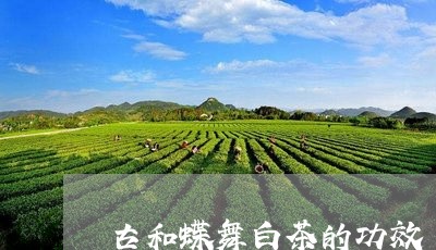 古和蝶舞白茶的功效/2023071647171