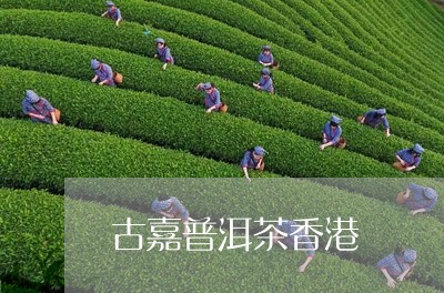 古嘉普洱茶香港/2023110958594