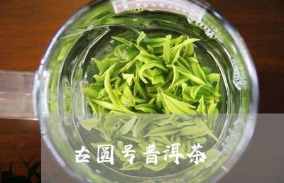 古圆号普洱茶/2023042790782