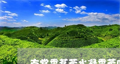 古堂香茗茶水凝香茶叶/2023061140696