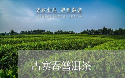 古寨春普洱茶/2023042957043