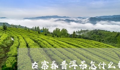 古寨春普洱茶怎什么样/2023092694828