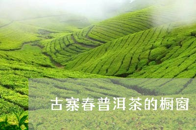 古寨春普洱茶的橱窗/2023112796250