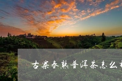 古寨春熟普洱茶怎么样/2023092690482