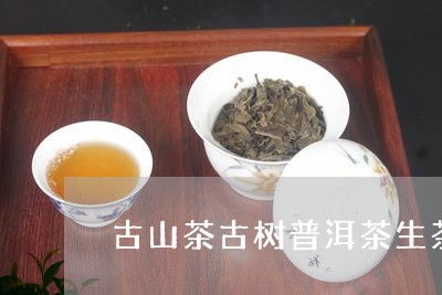 古山茶古树普洱茶生茶/2023092504936