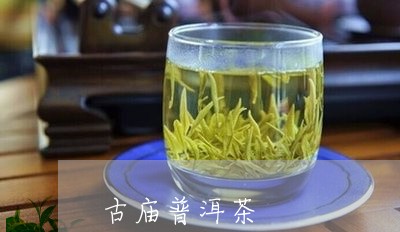 古庙普洱茶/2023090500494