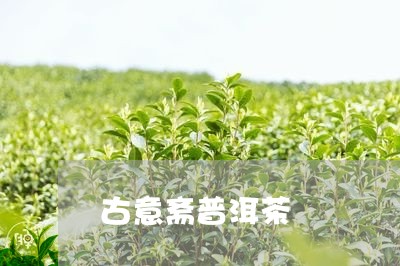 古意斋普洱茶/2023042753951