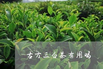 古方三白茶有用吗/2023061537380