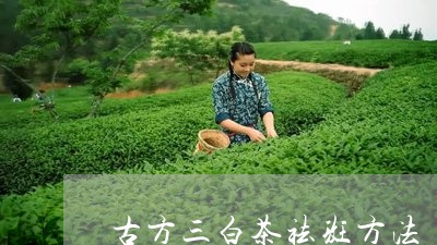 古方三白茶祛斑方法/2023121739371
