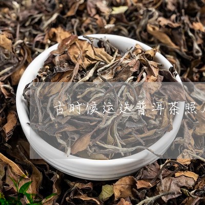 古时候运送普洱茶照片/2023111086262