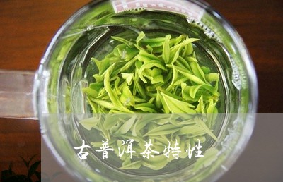 古普洱茶特性/2023042602155