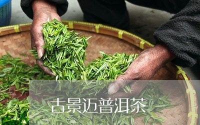 古景迈普洱茶/2023042991402